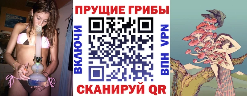 Галлюциногенные грибы ЛСД  Тихорецк 