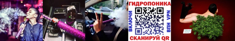 Шишки марихуана индика  площадка официальный сайт  Тихорецк 
